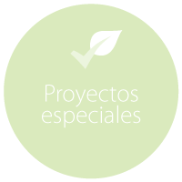 pwi-proyecto-4